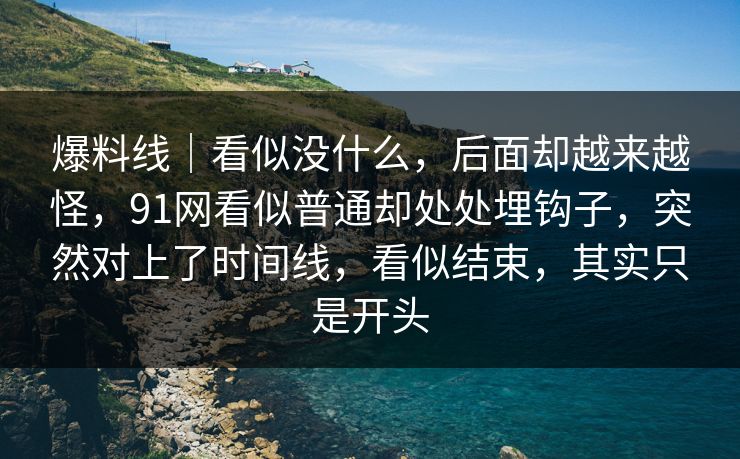 爆料线｜看似没什么，后面却越来越怪，91网看似普通却处处埋钩子，突然对上了时间线，看似结束，其实只是开头
