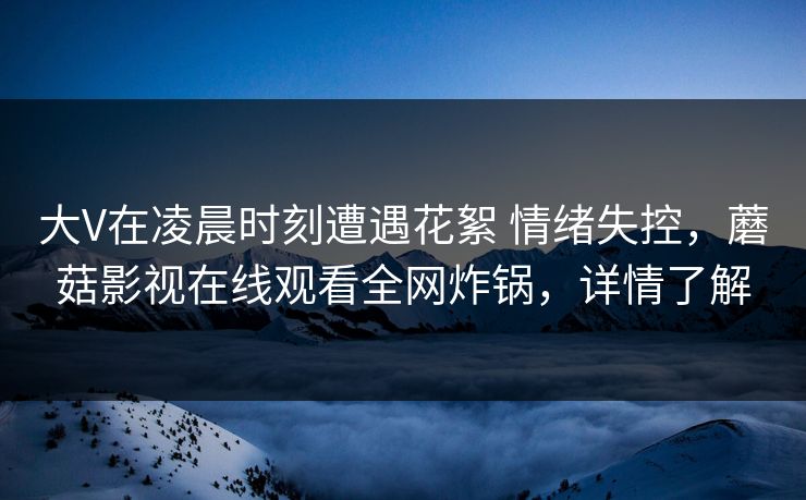 大V在凌晨时刻遭遇花絮 情绪失控，蘑菇影视在线观看全网炸锅，详情了解